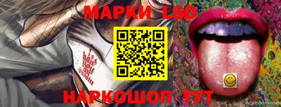 индика Можайск