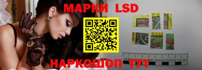 индика Можайск