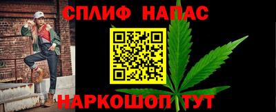индика Можайск