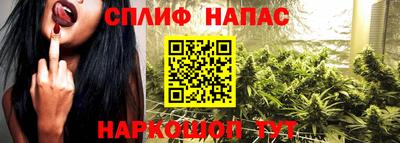 дурь Можга