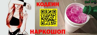 индика Можайск