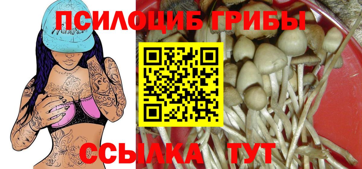 закладка  Вход с VPN  Псилоцибиновые грибы Magic Shrooms  Сочи  Псилоцибиновые грибы Psilocybe 
